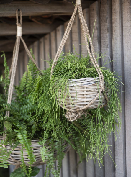 Blumenampel Hängekorb Rattan mit Juteschnur IB Laursen